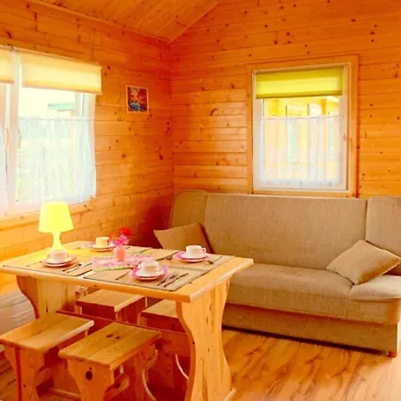 Holzhaus In Mit Grill Und Garten